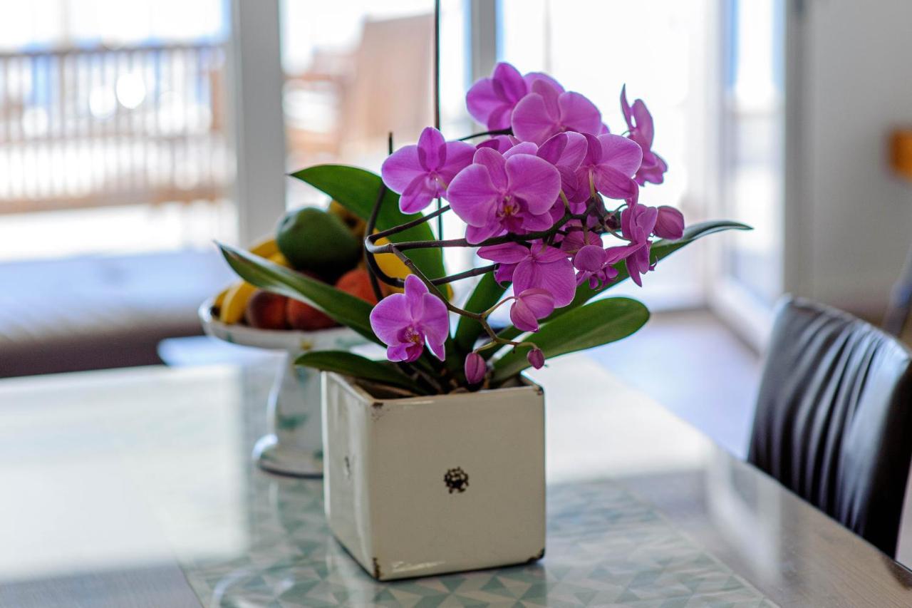 Apartment Branka Zablace