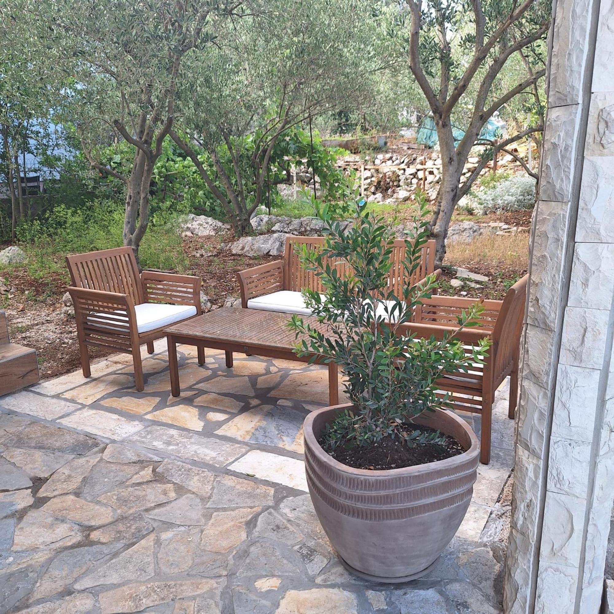 Apartman Branka